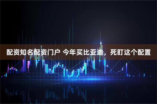配资知名配资门户 今年买比亚迪，死盯这个配置
